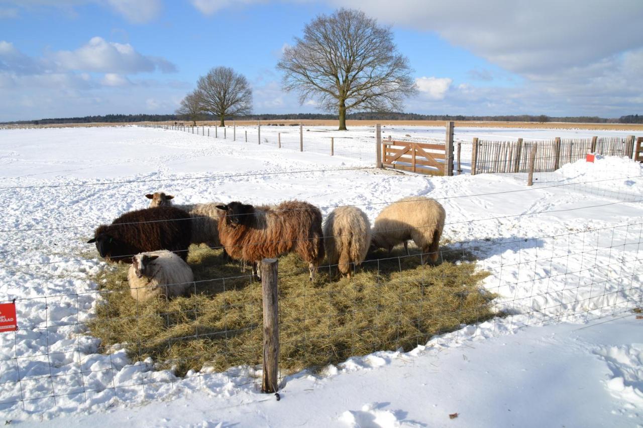 Landelijk Hijken Bed & Breakfast ภายนอก รูปภาพ